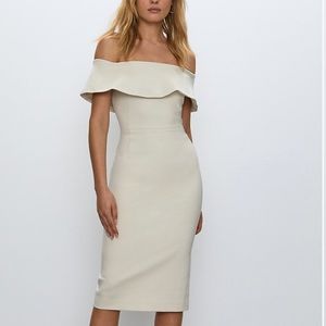 Aritzia Ruslan Dress ✨